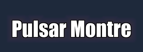 Pulsar Montre
